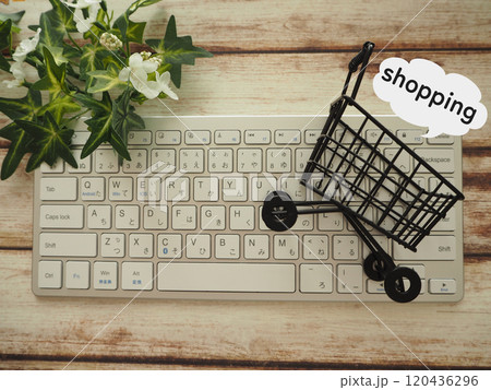 買い物カートにショッピングの文字　オンラインショッピング　通販 120436296