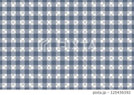 Gingham Check - Navy Blue 2 Gingham Check - Navy Blue 2 120436392
