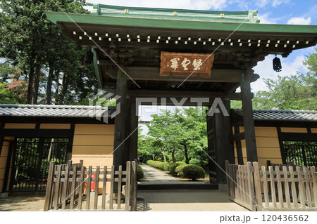 豪徳寺の山門　東京都世田谷区 120436562