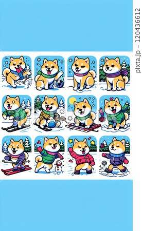 雪遊びする柴犬 120436612