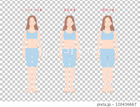 Illustration material comparing women's body types by weight 120436667