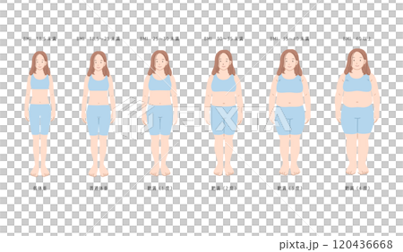 BMIによる女性の体型一覧 120436668