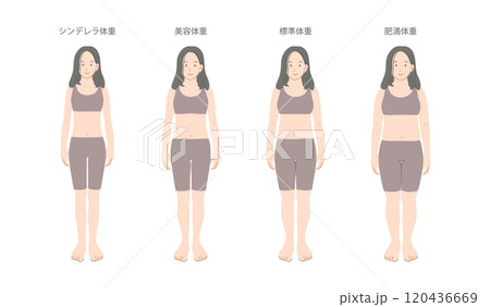 女性の体重別体型比較イラスト素材 女性の体重別体型比較イラスト素材 120436669