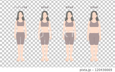 女性の体重別体型比較イラスト素材 女性の体重別体型比較イラスト素材 120436669