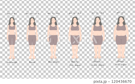 BMIによる女性の体型一覧 120436670