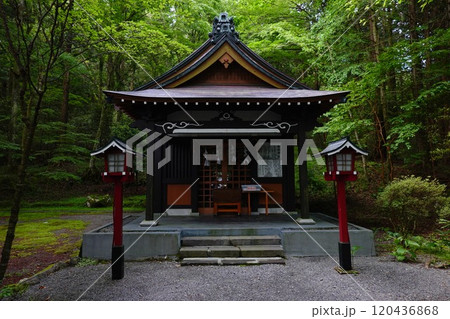駒形神社 駒形神社 120436868