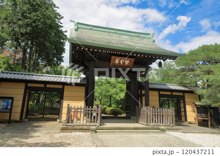 豪徳寺の山門　東京都世田谷区 120437211