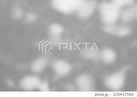 Bokeh and Shadow in the Garden on White Concrete Wall Background Bokeh and Shadow in the Garden on White Concrete Wall Background 120437560