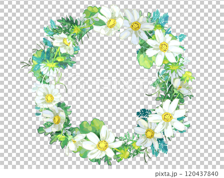 白色宇宙花環 白色宇宙花環 120437840