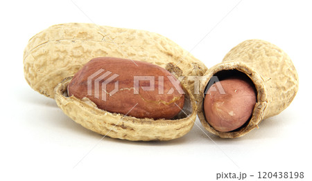 Close-Up of Shelled and Unshelled Peanuts on White Background Close-Up of Shelled and Unshelled Peanuts on White Background 120438198