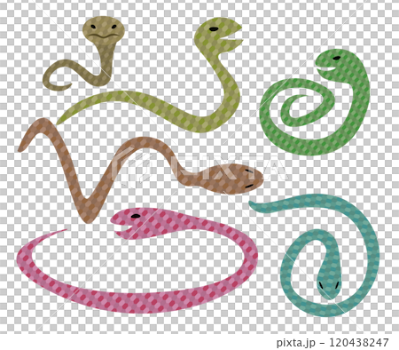 ペットシリーズ「蛇」ベクターイラスト 120438247