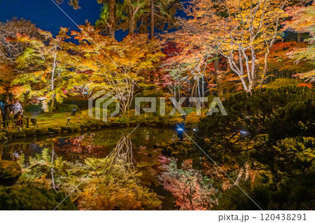 円通院紅葉ライトアップ 円通院紅葉ライトアップ 120438291