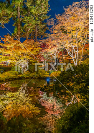 円通院紅葉ライトアップ 円通院紅葉ライトアップ 120438292