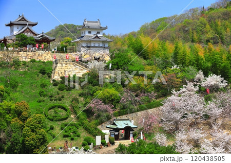 【広島県】桜が満開の因島水軍城 【広島県】桜が満開の因島水軍城 120438505