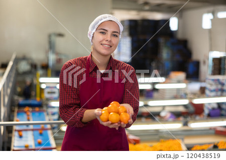 Young positive cheerful female worker in colorful uniform holds fresh ripe tangerines in her hands near the conveyor line. 120438519