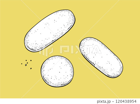 ラングドシャのイラスト ラングドシャのイラスト 120438954