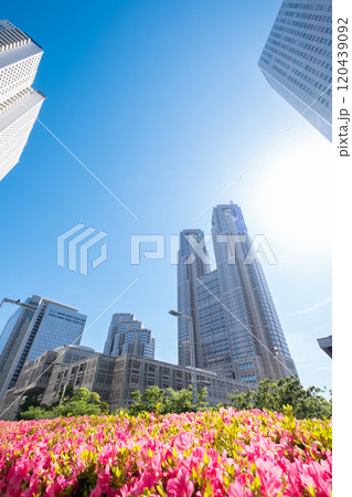 新宿 高層ビル街の風景 120439092