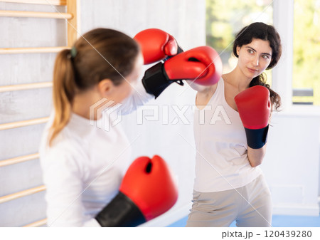 Portrait of sportswomen competing in colored boxing gloves 120439280