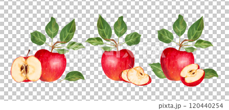 Fruit composition of whole, halves and leaves of red apple. Botanical illustration with watercolor and marker. Hand drawn isolated art. Natural food product for food packaging, menu and juices. 120440254