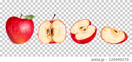 Fruit set of red apples. Healthy food. Botanical illustration with watercolor and markers. Hand drawn isolated art. Food clip art for food packaging design, menu and juices. Harvesting, production. 120440270