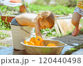A little boy is bathing in a basin 120440498