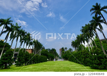 国立台湾大学のメインストリート「椰林大道」(台湾・台北市大安区) 国立台湾大学のメインストリート「椰林大道」(台湾・台北市大安区) 120440649