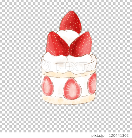 ショートケーキ 120441302