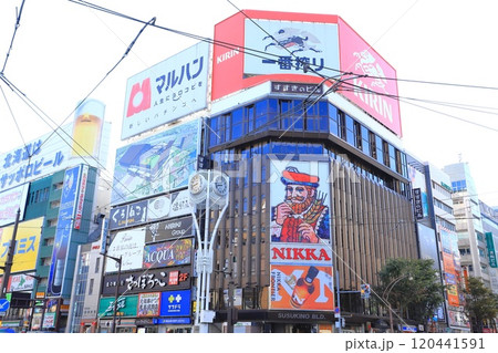 薄野（すすきの）の風景　北海道札幌市 120441591