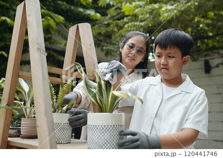 Mother And Son Potting Plants Outdoors in Garden Mother And Son Potting Plants Outdoors in Garden 120441746