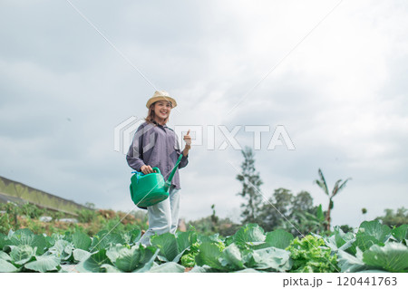 A Cheerful Gardener is Watering Cabbage in a Lush Green Field, Surrounded by Nature 120441763