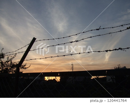 バラセン　夕焼け　美しい　薔薇線 120441764