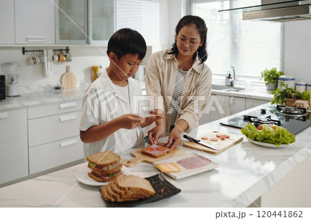 Preparing Sandwiches for Lunch in Modern Kitchen 120441862