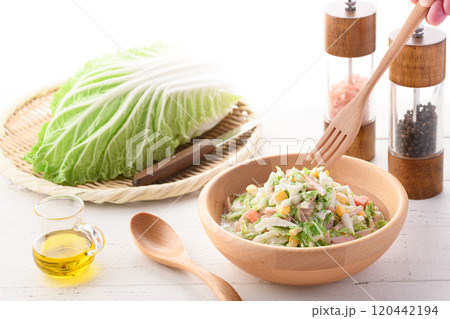 白菜のコールスローサラダ （ 白菜サラダ ） 120442194