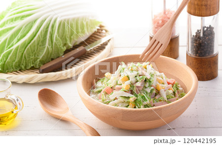白菜のコールスローサラダ （ 白菜サラダ ） 120442195
