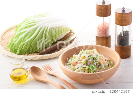 白菜のコールスローサラダ （ 白菜サラダ ） 120442197