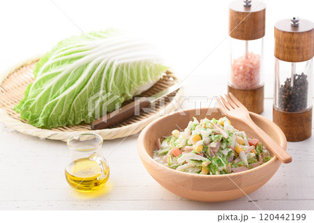 白菜のコールスローサラダ （ 白菜サラダ ） 120442199