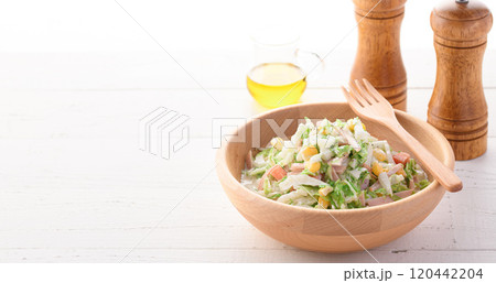 白菜のコールスローサラダ ( 白菜サラダ ) 白菜のコールスローサラダ ( 白菜サラダ ) 120442204