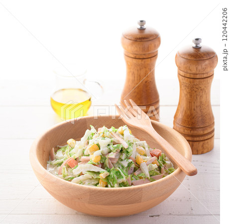 白菜のコールスローサラダ （ 白菜サラダ ） 120442206
