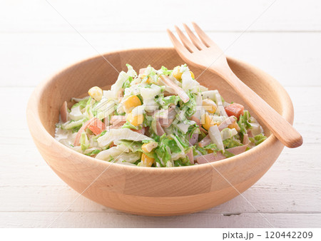 白菜のコールスローサラダ ( 白菜サラダ ) 白菜のコールスローサラダ ( 白菜サラダ ) 120442209
