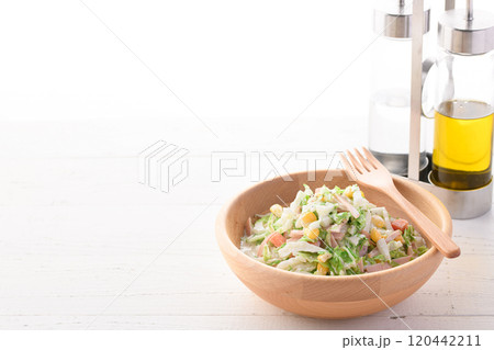 白菜のコールスローサラダ （ 白菜サラダ ） 120442211