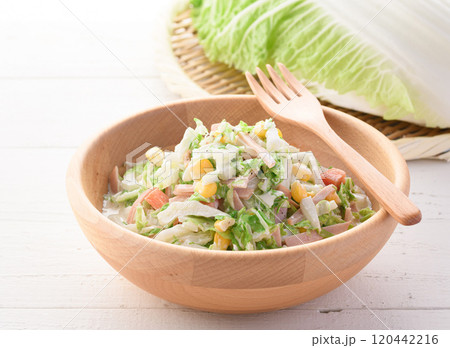 白菜のコールスローサラダ ( 白菜サラダ ) 白菜のコールスローサラダ ( 白菜サラダ ) 120442216