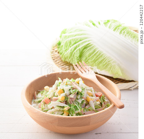 白菜のコールスローサラダ （ 白菜サラダ ） 120442217
