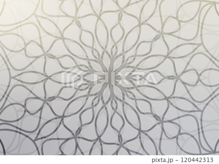 White light black line mandala flower background  120442313