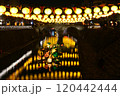 ランタンフェスティバル・眼鏡橋 120442444