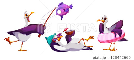 Cute seagull characters set isolated on white Cute seagull characters set isolated on white 120442660