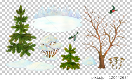 Set of watercolor cartoon nature elements. Winter landscape constructor. Isolated leafless tree, bush, fir, snowdrift, bullfinch, coniferous forest silhouette for season background or scene creating Set of watercolor cartoon nature elements. Winter landscape constructor. Isolated leafless tree, bush, fir, snowdrift, bullfinch, coniferous forest silhouette for season background or scene creating 120442684