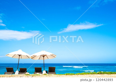南国の海とビーチパラソル 南国の海とビーチパラソル 120442893