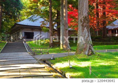秋 奥州 平泉 中尊寺 金色堂覆堂 秋 奥州 平泉 中尊寺 金色堂覆堂 120443641
