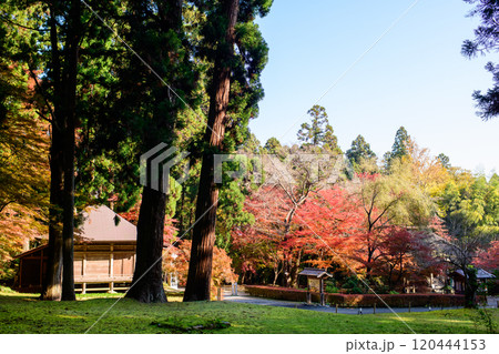 世界遺産中尊寺 清々しい朝を迎えた釈迦堂と弁財天堂 岩手県 世界遺産中尊寺 清々しい朝を迎えた釈迦堂と弁財天堂 岩手県 120444153