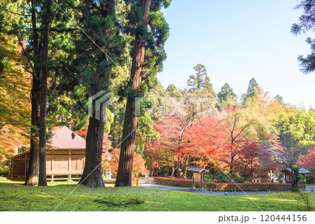 世界遺産中尊寺　清々しい朝を迎えた釈迦堂と弁財天堂　岩手県 120444156